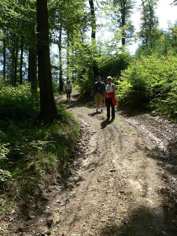 Landhaus Zum Sorpetal Otel Schmallenberg Dış mekan fotoğraf
