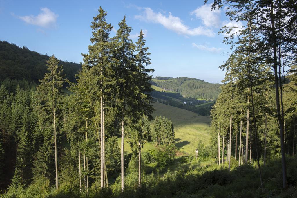 Landhaus Zum Sorpetal Otel Schmallenberg Dış mekan fotoğraf