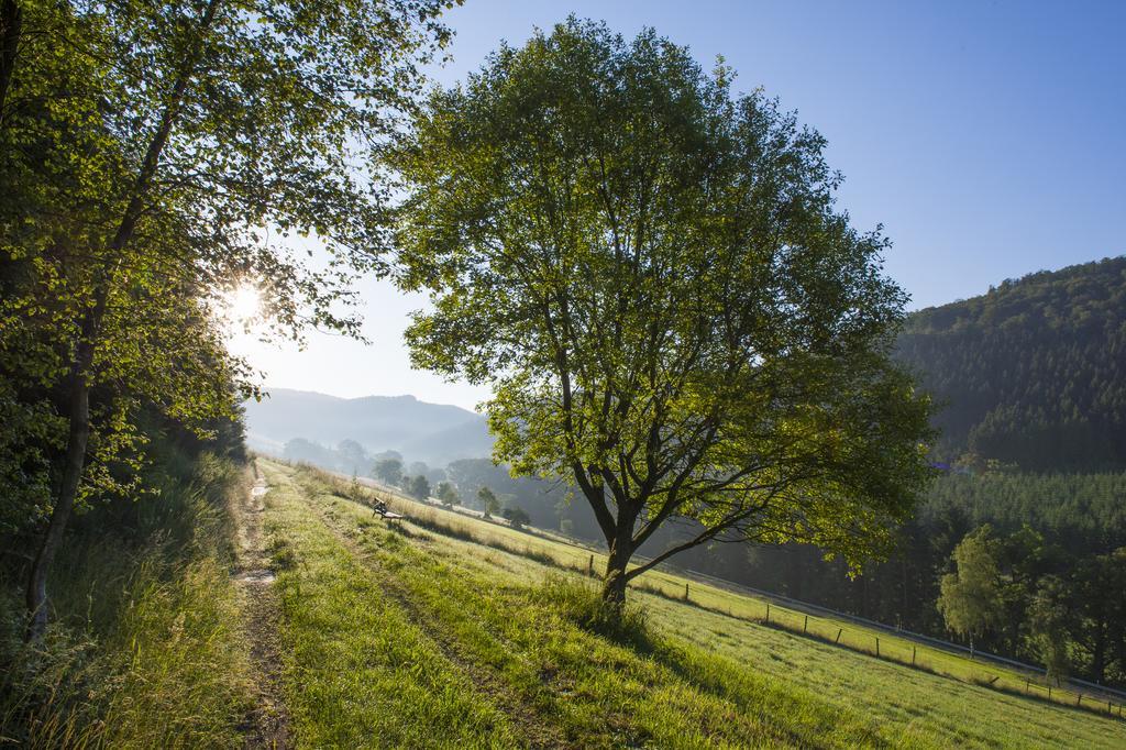 Landhaus Zum Sorpetal Otel Schmallenberg Dış mekan fotoğraf