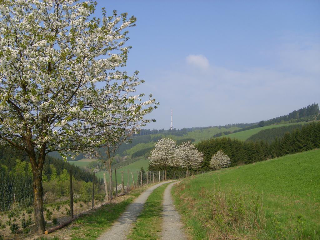 Landhaus Zum Sorpetal Otel Schmallenberg Dış mekan fotoğraf